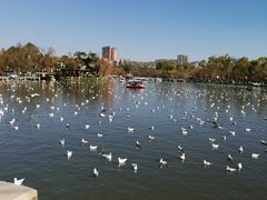 -昆明火车站(地铁站)