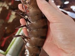 -南沙十九涌渔人码头-南门