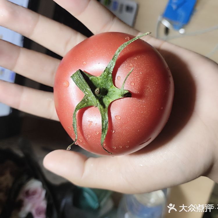 今日外卖，体验感超级好啊，西红柿很好吃