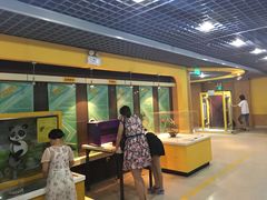 -陕西科学技术馆
