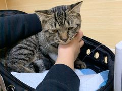 -美联众合动物医院·24h京西诊疗中心