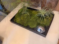 -新美姿美食水疗汇(罗湖口岸店)