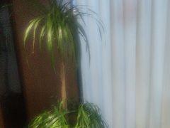 -陈熹公民族美食文化餐厅(中华广场店)