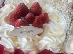 -维尔纳斯·生日蛋糕·动物奶油冰淇淋蛋糕(六里桥店)