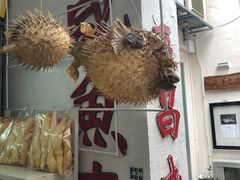 -大澳渔村及棚屋