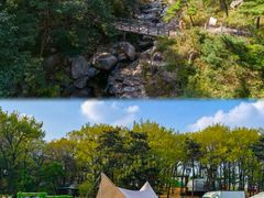 -沂蒙山旅游区云蒙景区(蒙山国家森林公园)