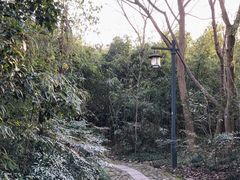 -法云安缦酒店