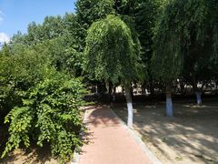 -黛秀湖公园