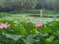 -北陵公园