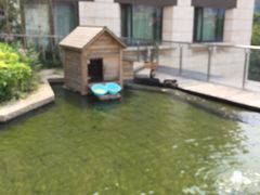 -行者书屋大堂吧 ·下午茶(南京圣和府邸酒店)