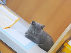 -联合动物医院(光谷诊疗中心)