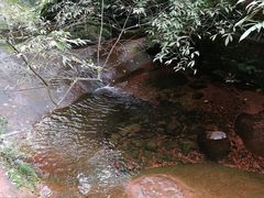 -赤水丹霞旅游区·佛光岩