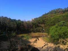 -深圳国际园林花卉博览园