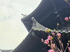 -荔湾湖公园