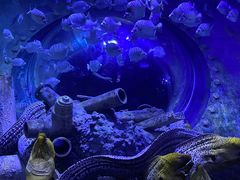 -成都浩海立方海洋公园