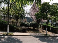 -仙海旅游度假区