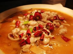 -马家斑.鲜鱼火锅(松湖万科店)