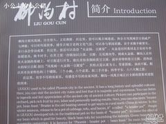 简介-柳沟豆腐宴义豆堂24号农家院