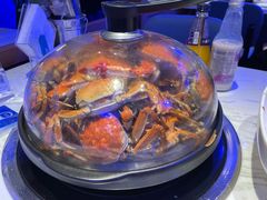 -半岛听涛蒸汽海鲜自助(K11店)