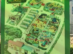 -南宫五洲植物乐园