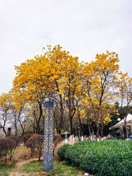 -番禺儿童公园
