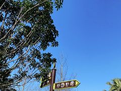 -成都动物园