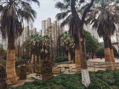 -苏州河梦清园环保主题公园