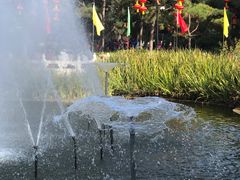 -丰台花园