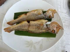 -上海新锦江大酒店