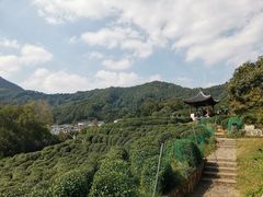-龙井村