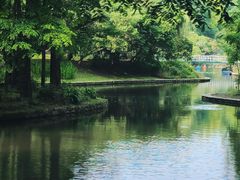 -上海共青森林公园