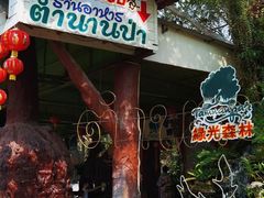 -绿光森林餐厅