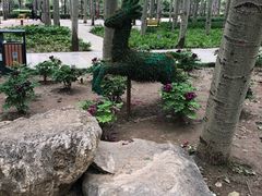 -仁和公园(顺义区)