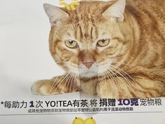 -YO!TEA有茶(科兴科学园店)