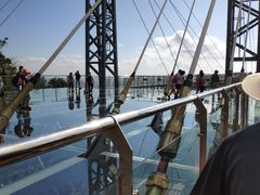 -呀诺达热带雨林