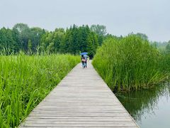 -溱湖国家湿地公园