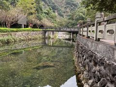-宁波五龙潭景区