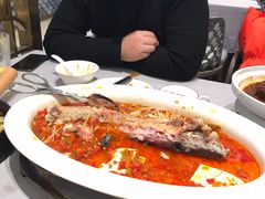 -阿五黄河大鲤鱼(海尚店)