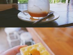 -柑橘农场