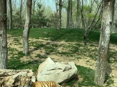 -北京野生动物园