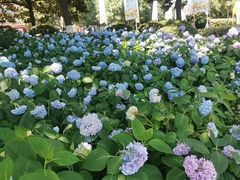 -常州古运河南大街文化旅游区-人民公园