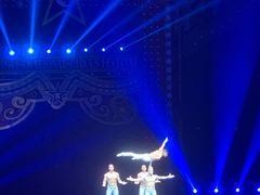 -珠海横琴长隆《卡卡虎奇遇记》