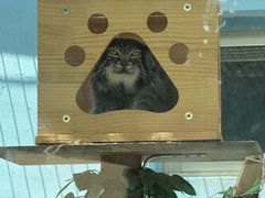-青藏高原野生动物园