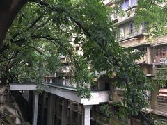 -东水门老街