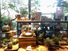 -自由生长植物工作室(深港花卉中心店)