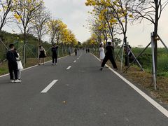 -光明小镇欢乐田园
