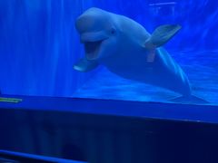 -多彩贵州城极地海洋世界