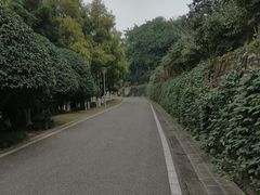 -重庆园博园