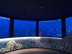 景点-沈阳海洋探索中心