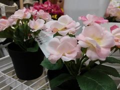 -宜家家居(哈尔滨商场店)